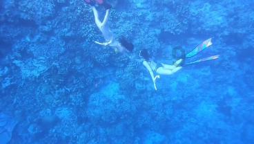 夏日骑行